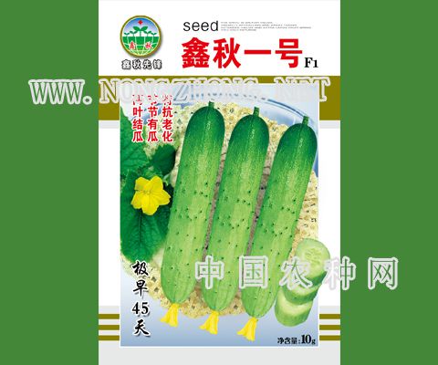 鑫秋一号